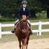 Oak View Stables Horse Show
